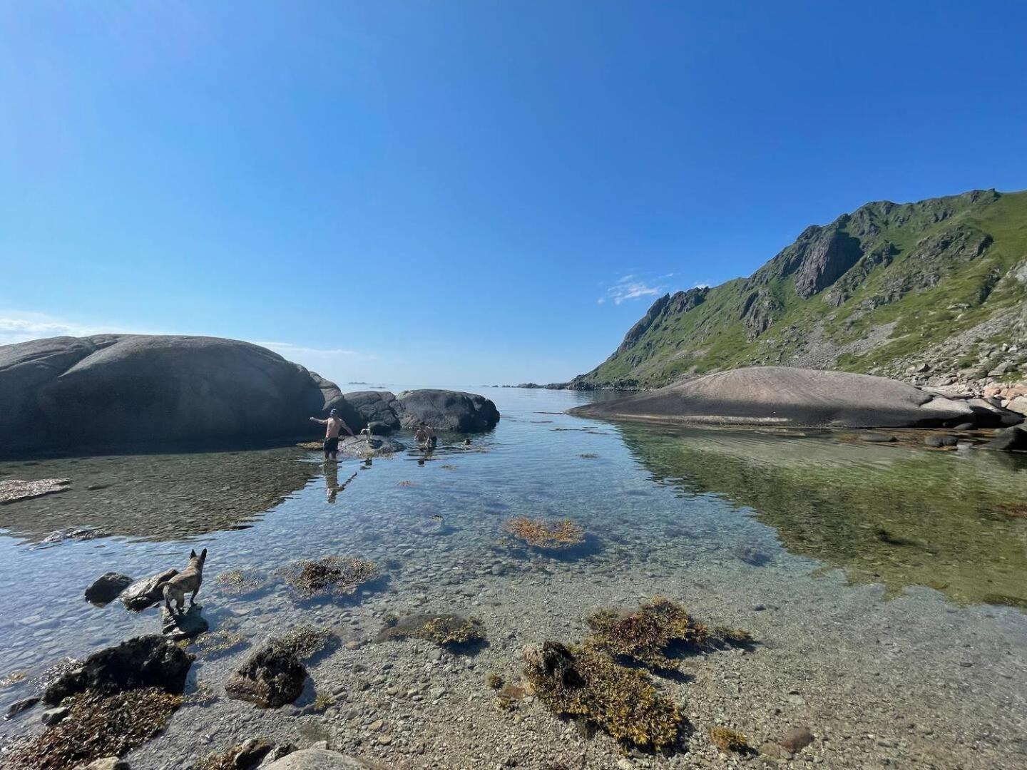 Lofoten Seaview Ballstad Exterior photo
